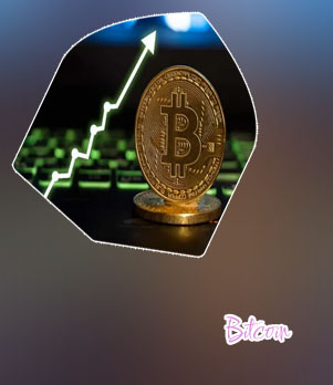 Bitcoin growth