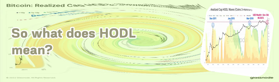 Bitcoin hodl meaning