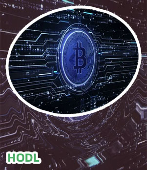 Crypto hodl meaning