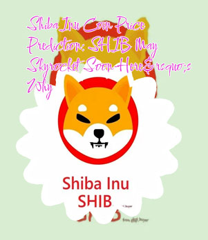 Crypto shiba inu coin price