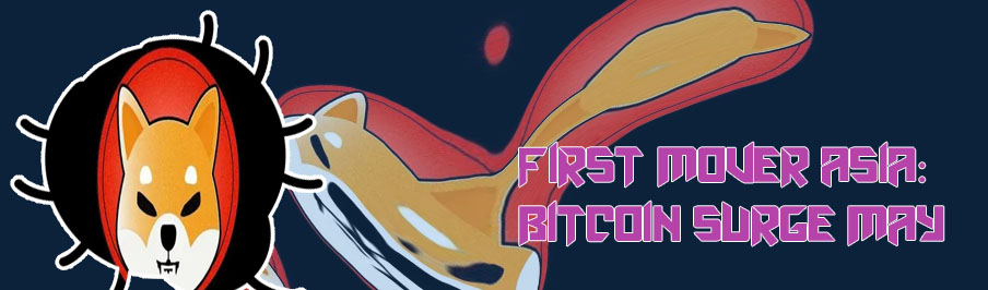 Surge inu crypto