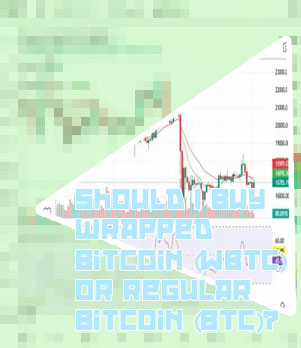 Wrapped btc review